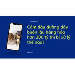 Cầm đầu đường dây buôn lậu hàng hóa hơn 200 tỷ thì bị xử lý thế nào?