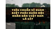 Tiêu chuẩn sĩ quan biệt phái quân đội nhân dân Việt Nam là gì?