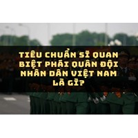 Tiêu chuẩn sĩ quan biệt phái quân đội nhân dân Việt Nam là gì?