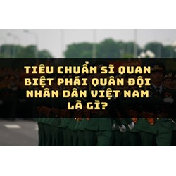 Tiêu chuẩn sĩ quan biệt phái quân đội nhân dân Việt Nam là gì?