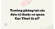 Trưởng phòng tại các đơn vị thuộc cơ quan Cục Thuế là ai?