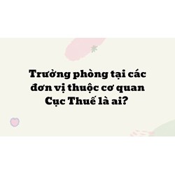 Trưởng phòng tại các đơn vị thuộc cơ quan Cục Thuế là ai?