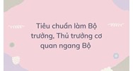 Tiêu chuẩn làm Bộ trưởng, Thủ trưởng cơ quan ngang Bộ là gì?