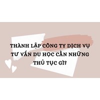 Thành lập công ty dịch vụ tư vấn du học cần những thủ tục gì?