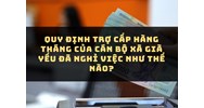 Quy định trợ cấp hàng tháng của cán bộ xã già yếu đã nghỉ việc như thế nào?