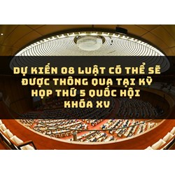 Dự kiến 08 Luật có thể sẽ được thông qua tại kỳ họp thứ 5 Quốc hội khóa XV