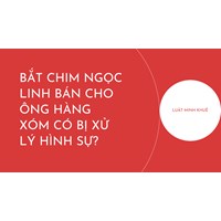 Bắt chim Ngọc Linh bán cho ông hàng xóm có bị xử lý hình sự?