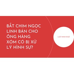Bắt chim Ngọc Linh bán cho ông hàng xóm có bị xử lý hình sự?
