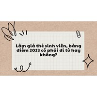 Làm giả thẻ sinh viên, bảng điểm có phải đi tù hay không?