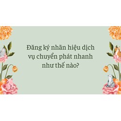 Đăng ký nhãn hiệu dịch vụ chuyển phát nhanh làm thế nào?