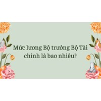 Mức lương Bộ trưởng Bộ Tài chính là bao nhiêu?