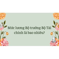 Mức lương Bộ trưởng Bộ Tài chính là bao nhiêu?