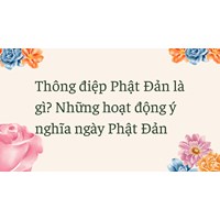 Thông điệp Phật Đản là gì? Những hoạt động ý nghĩa ngày Phật Đản