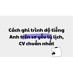 Cách ghi trình độ tiếng Anh trên sơ yếu lý lịch, CV chuẩn nhất