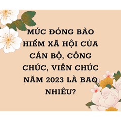 Mức đóng bảo hiểm xã hội của cán bộ, công chức, viên chức