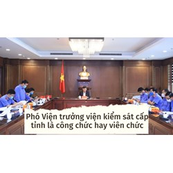 Phó Viện trưởng Viện kiểm sát cấp tỉnh là công chức hay viên chức?
