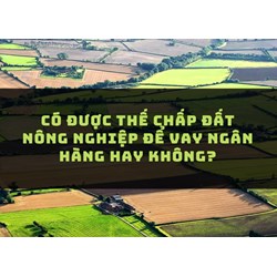 Có được thế chấp đất nông nghiệp để vay ngân hàng hay không?