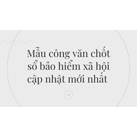Mẫu công văn chốt sổ bảo hiểm xã hội cập nhật mới nhất