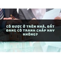 Có được ở trên nhà, đất đang có tranh chấp hay không?