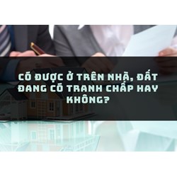 Có được ở trên nhà, đất đang có tranh chấp hay không?