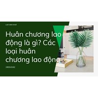 Huân chương lao động là gì? Các loại huân chương lao động