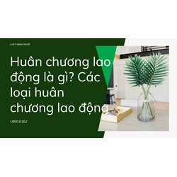 Huân chương lao động là gì? Các loại huân chương lao động