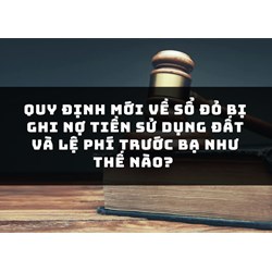 Quy định sổ đỏ bị ghi nợ tiền sử dụng đất và lệ phí trước bạ?