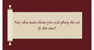 Xây nhà nuôi chim yến trái phép thì xử lý thế nào?