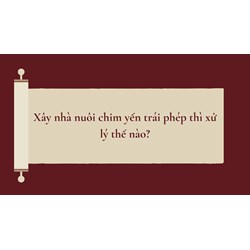 Xây nhà nuôi chim yến trái phép thì xử lý thế nào?