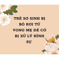 Trẻ sơ sinh bị bỏ rơi tử vong mẹ đẻ có bị xử lý hình sự?