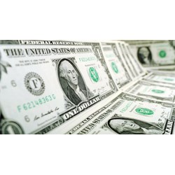 Nhiệm vụ của Trưởng bộ phận chuyên môn Chi cục Dự trữ Nhà nước là gì?