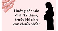 Hướng dẫn xác định 12 tháng trước khi sinh con chuẩn nhất?