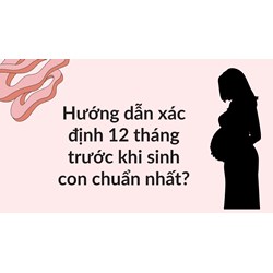 Hướng dẫn xác định 12 tháng trước khi sinh con chuẩn nhất?
