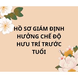 Hồ sơ giám định hưởng chế độ hưu trí trước tuổi mới nhất?