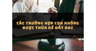 Các trường hợp con không được thừa kế đất đai