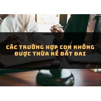 Các trường hợp con không được thừa kế đất đai