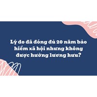 Lý do đã đóng đủ 20 năm bảo hiểm xã hội nhưng không được hưởng lương hưu?
