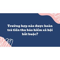 Trường hợp nào được hoàn trả tiền thu bảo hiểm xã hội bắt buộc?