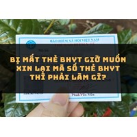Bị mất thẻ BHYT giờ muốn xin lại mã số thẻ BHYT thì phải làm gì?