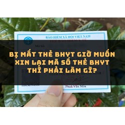 Bị mất thẻ BHYT giờ muốn xin lại mã số thẻ BHYT thì phải làm gì?