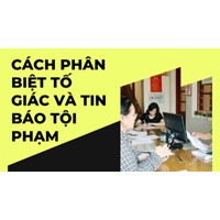 Phân biệt tố giác tội phạm và tin báo về tội phạm