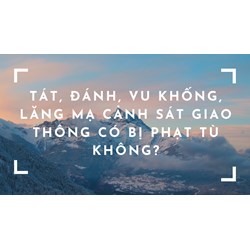 Tát, đánh, vu khống, lăng mạ cảnh sát giao thông có bị phạt tù không?