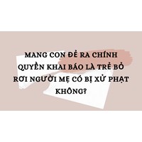 Mang con đẻ ra chính quyền khai báo là trẻ bỏ rơi người mẹ có bị xử phạt không?