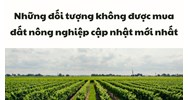 Những đối tượng nào hiện nay không được mua đất nông nghiệp?