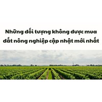 Những đối tượng nào hiện nay không được mua đất nông nghiệp?
