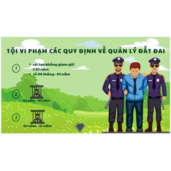 Tội vi phạm quy định về quản lý đất đai theo Điều 229 BLHS