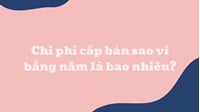 Chi phí cấp bản sao vi bằng hiện nay là bao nhiêu?