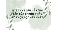 Viết 4 - 5 câu về tình cảm của em với thầy cô chọn lọc hay nhất