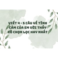 Viết 4 - 5 câu về tình cảm của em với thầy cô chọn lọc hay nhất