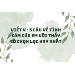 Viết 4 - 5 câu về tình cảm của em với thầy cô chọn lọc hay nhất